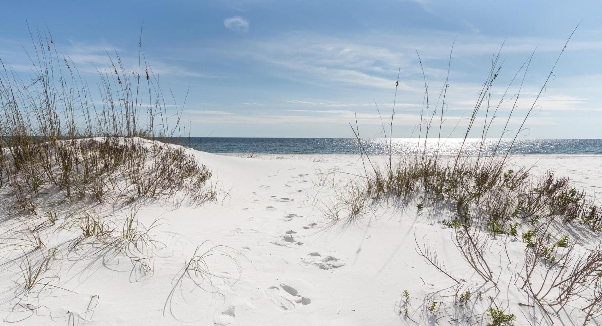 Nautilus Unit 2310 Vila Fort Walton Beach Exterior foto