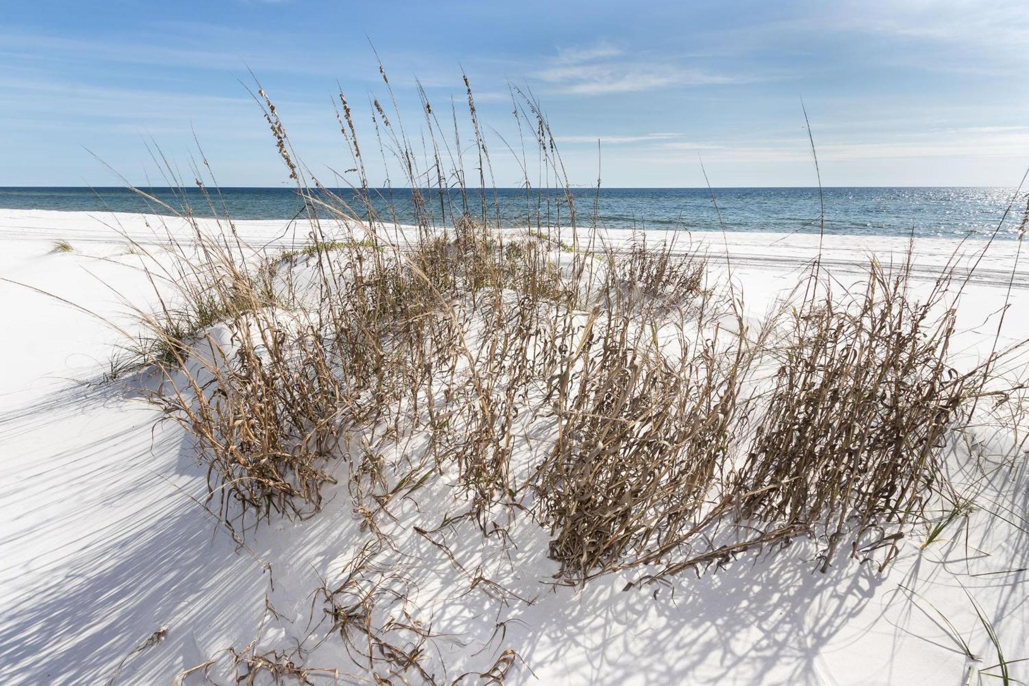 Nautilus Unit 2310 Vila Fort Walton Beach Exterior foto